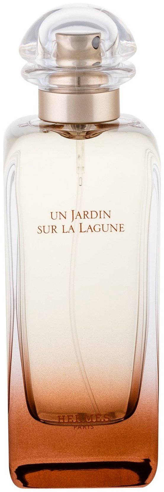 Hermes Un Jardin Sur La Lagune туалетная вода EDT 100 мл, унисекс - ForteMarket Hermes Un Jardin Sur La Lagune туалетная вода EDT 100 мл, унисекс купить,118570
