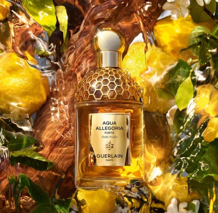 Guerlain Aqua Allegoria Forte Oud Yuzu парфюмерная вода EDP 125 мл, для женщин купить,58790