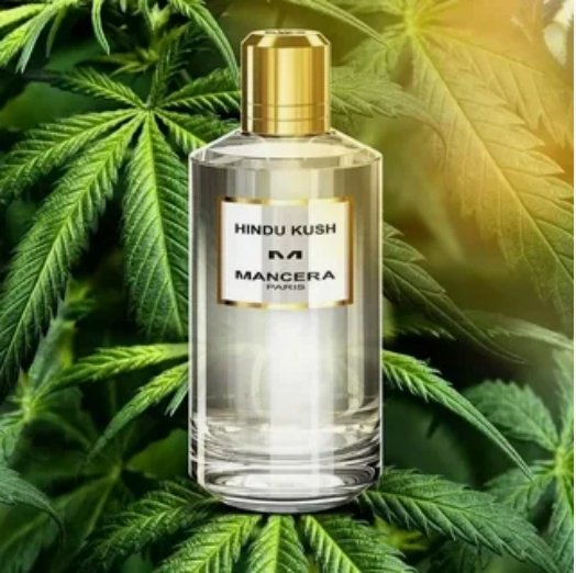 MANCERA Hindu Kush парфюмерная вода EDP 120 мл, унисекс купить,44690