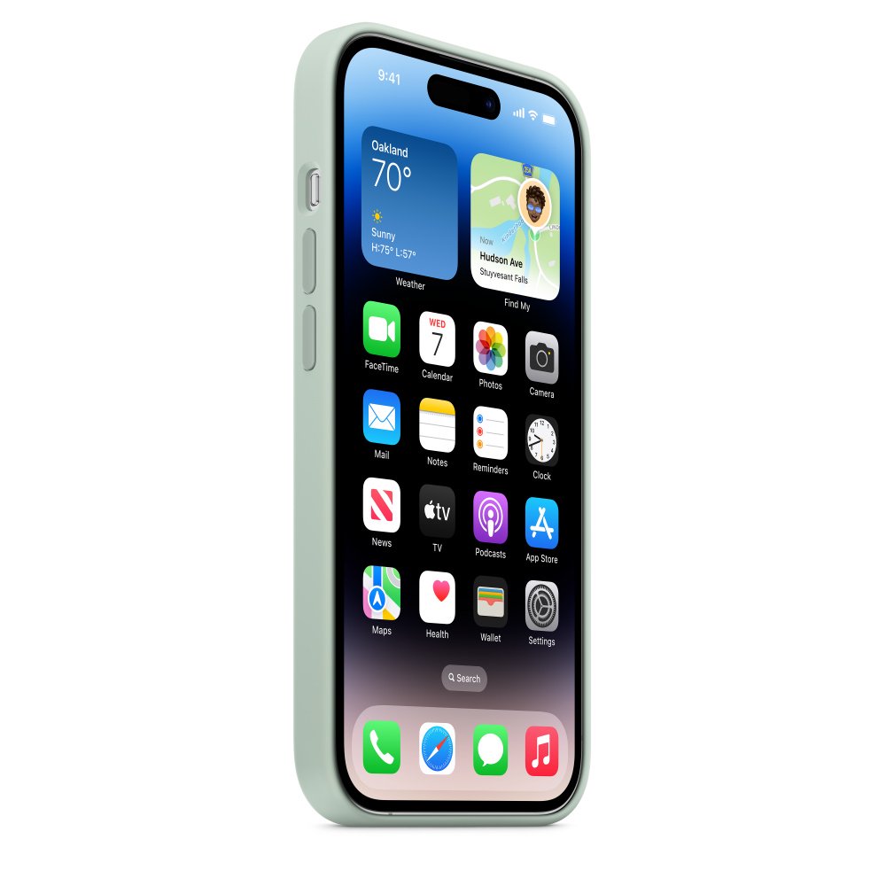 Чехол Apple для iPhone 14 Pro Silicone Case with MagSafe MPTL3ZM/A суккулентный купить,NaN
