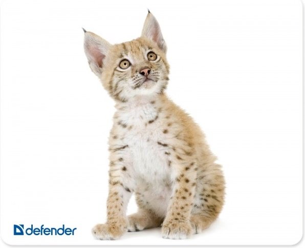 Коврик для мыши Defender Silk