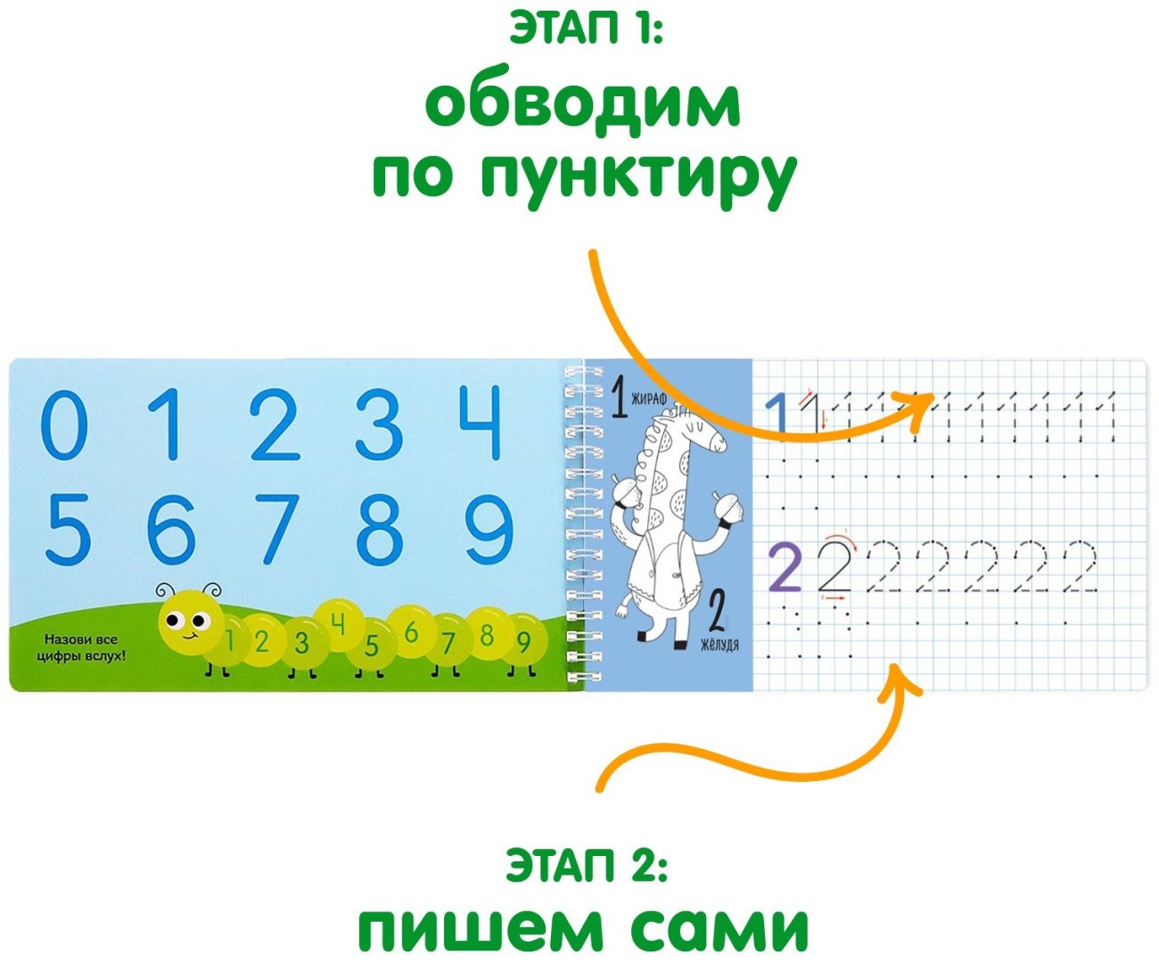 Пропись Бажева А.: Прописи с трафаретами От 0 до 9 купить,NaN