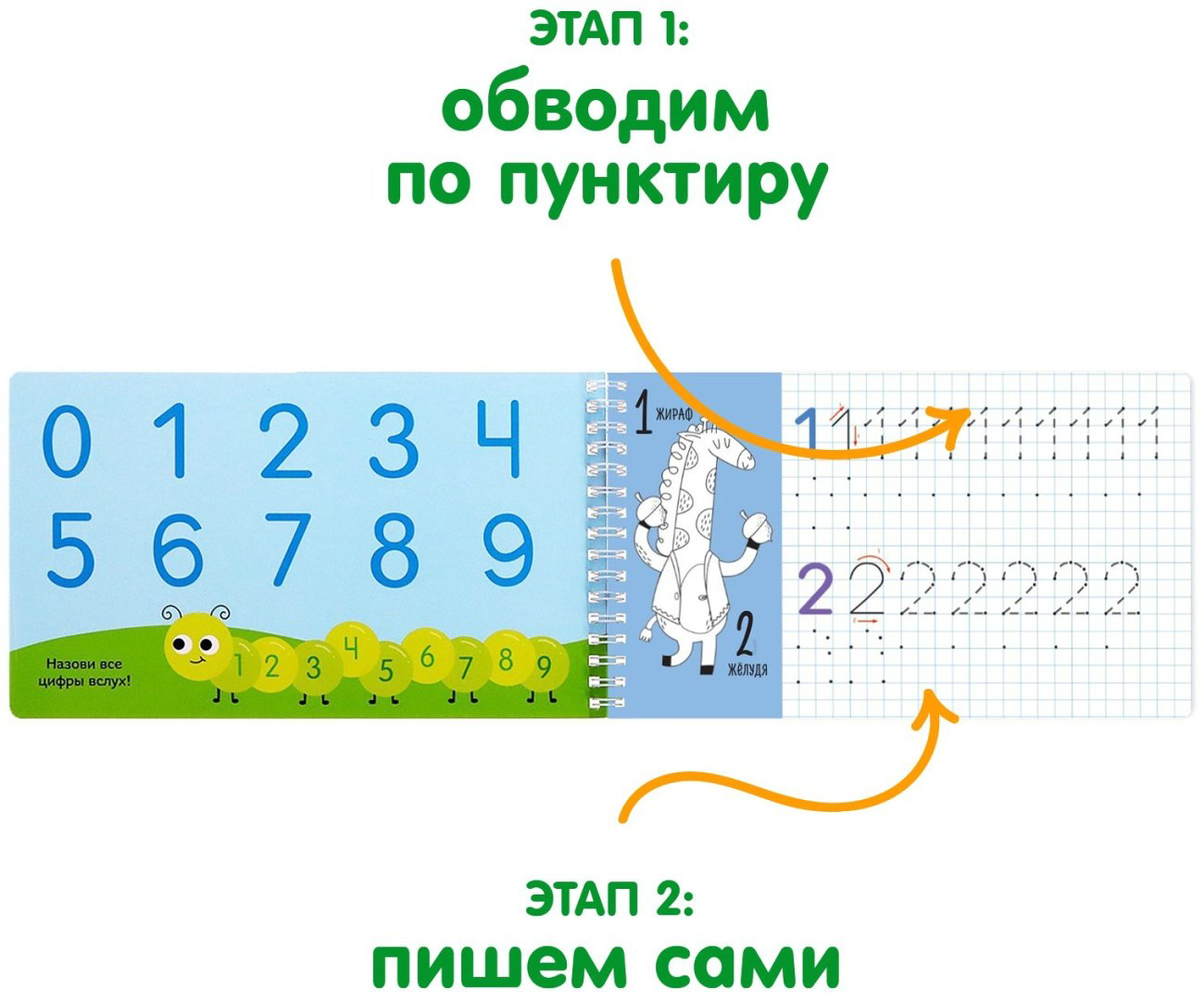 Пропись Бажева А.: Прописи с трафаретами От 0 до 9 купить,NaN