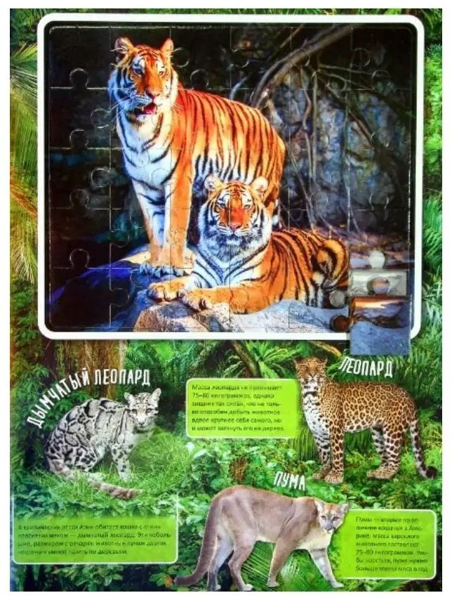 Книга Книга: Удивительные животные купить,NaN