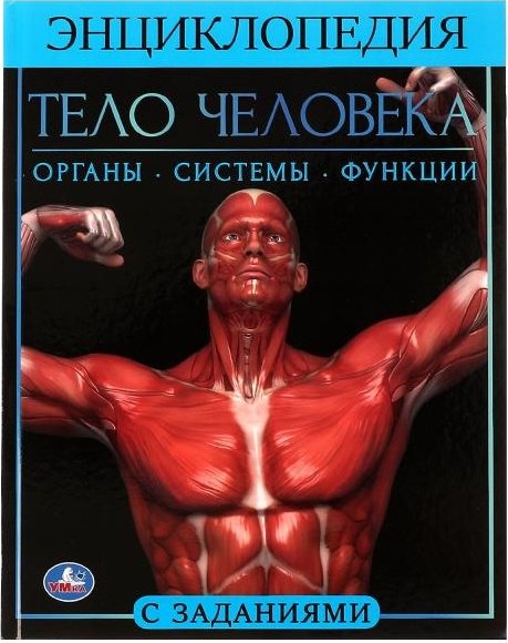 Книга Волцит П.М.: Тело человека. Энциклопедия купить,NaN