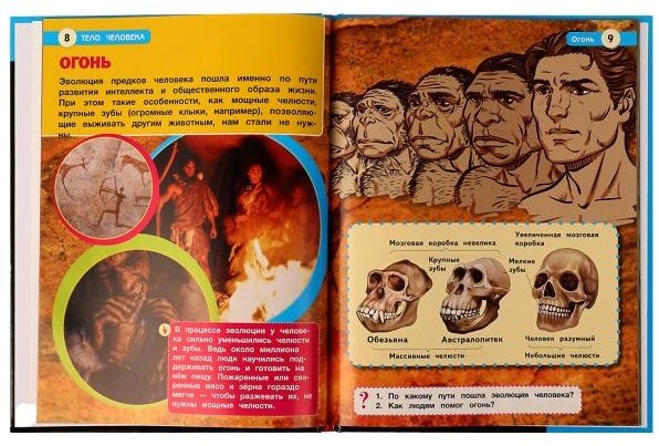 Книга Волцит П.М.: Тело человека. Энциклопедия купить,NaN