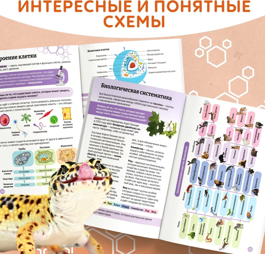 Книга А. Бажева: Книга «Биология для детей», 68 стр. купить,NaN