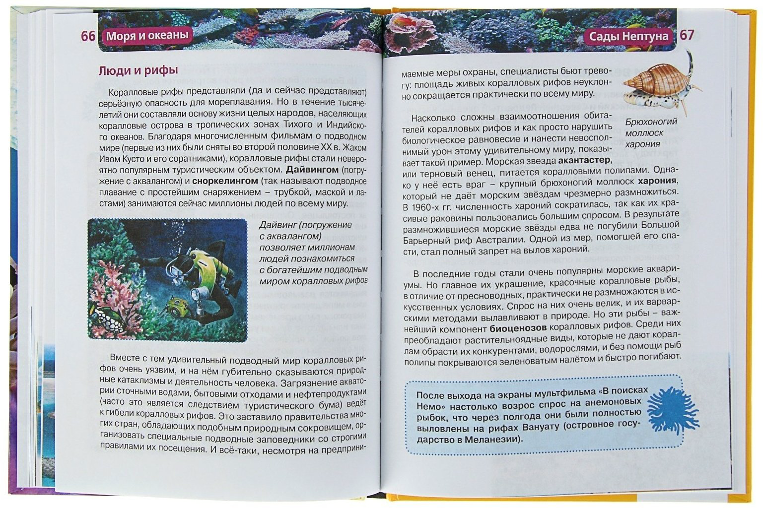 Книга Моря и океаны купить,NaN