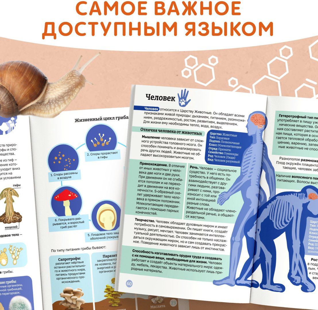 Книга А. Бажева: Книга «Биология для детей», 68 стр. купить,NaN
