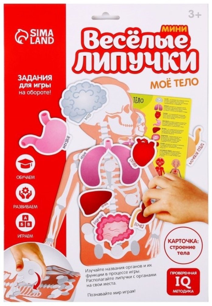 Обучающий набор Zabiaka Мое тело купить,NaN