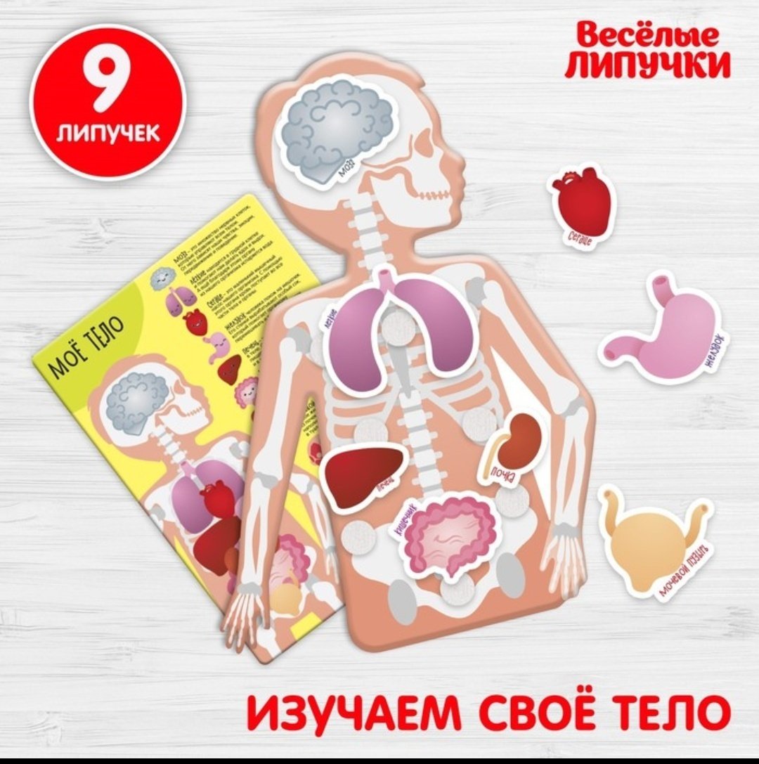 Обучающий набор Zabiaka Мое тело купить,NaN