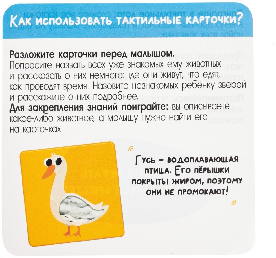 Карточки IQ-ZABIAKA Животные фермы купить,NaN