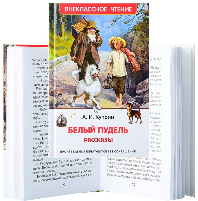 Книга Константин Лаптев: Куприн А. Белый пудель. Рассказы (ВЧ) купить,NaN