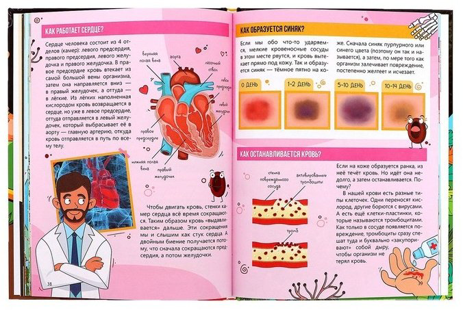 Книга Соколова Ю: Как всё устроено купить,NaN