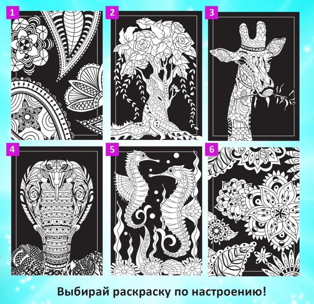 Книга Сачкова Е.: Волшебные раскраски Мир фантазий купить,NaN