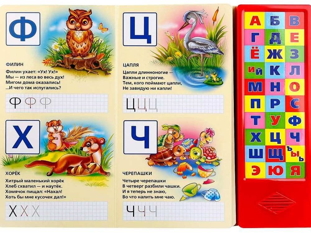 Дружинина М.: Азбука зверей и птиц купить,NaN