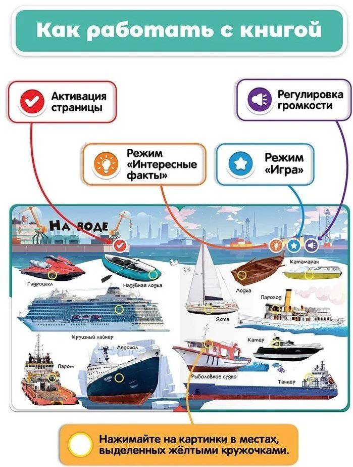 Книжка-игрушка BertToys Нажималка Транспорт купить,NaN