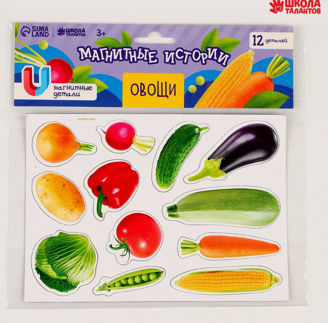 Магнитная игра Школа талантов Магнитная игра купить,NaN