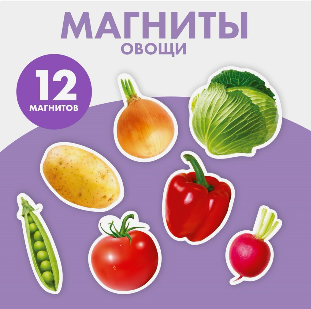 Магнитная игра Школа талантов Магнитная игра купить,NaN