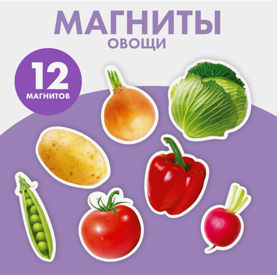 Магнитная игра Школа талантов Магнитная игра купить,NaN