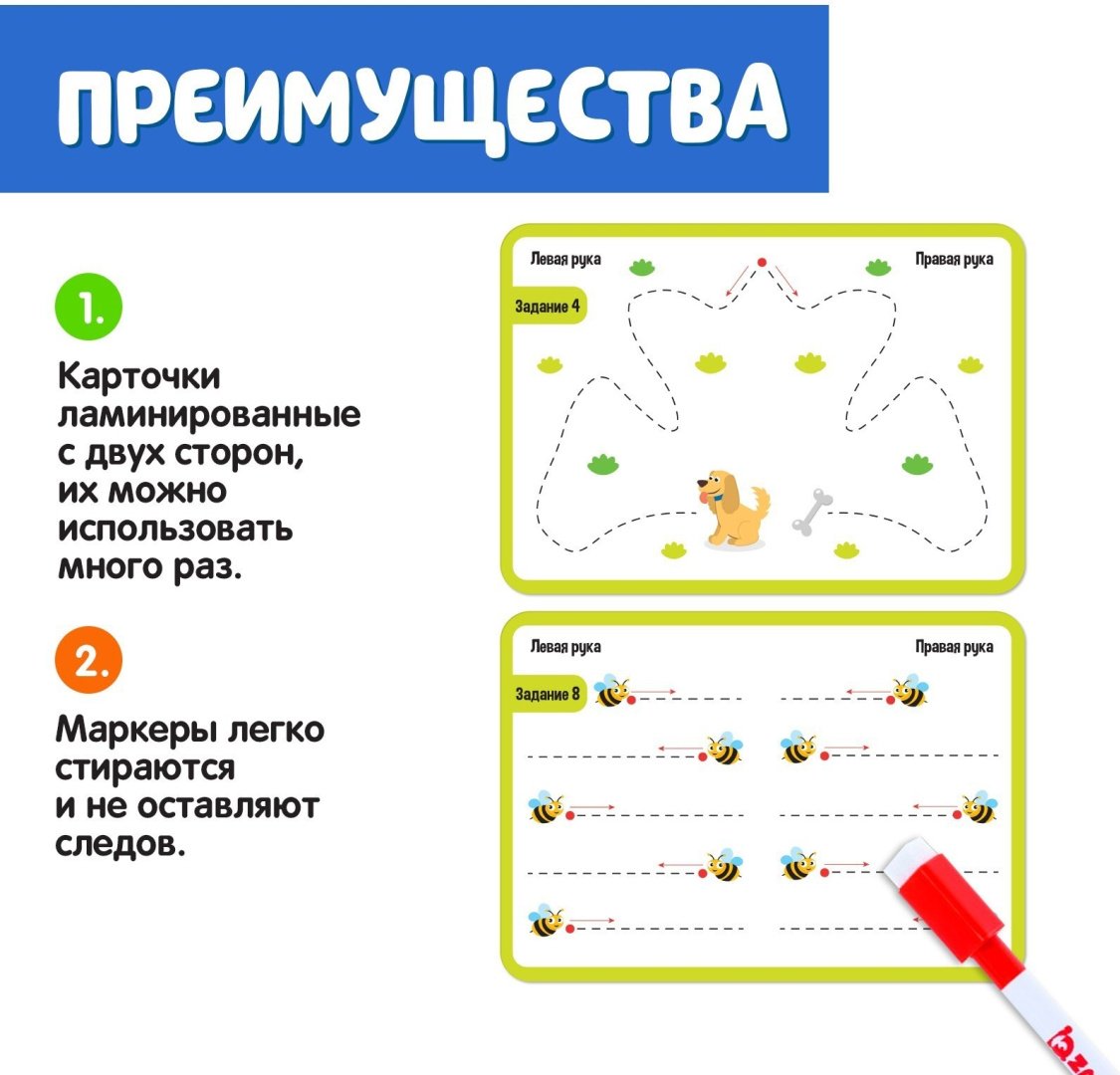 Обучающий набор IQ-ZABIAKA межполушарное развитие купить,NaN