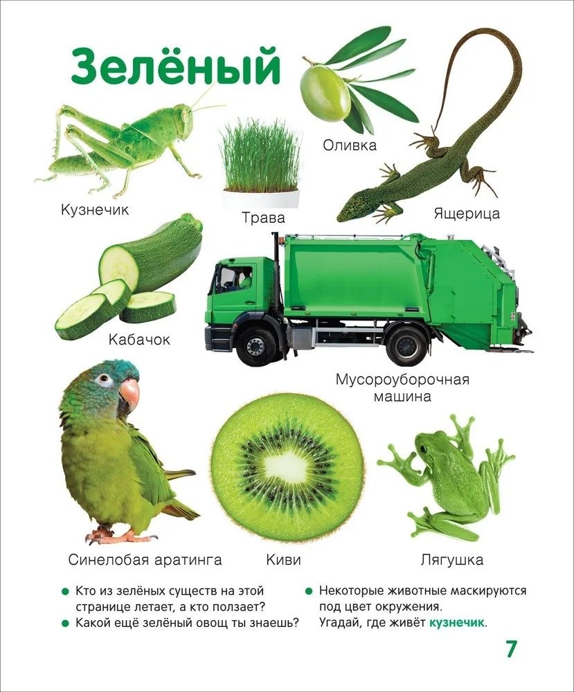 Книга Широнина Е.: Широнина Е.: Цвета и формы Твоя первая фотокнига купить,NaN