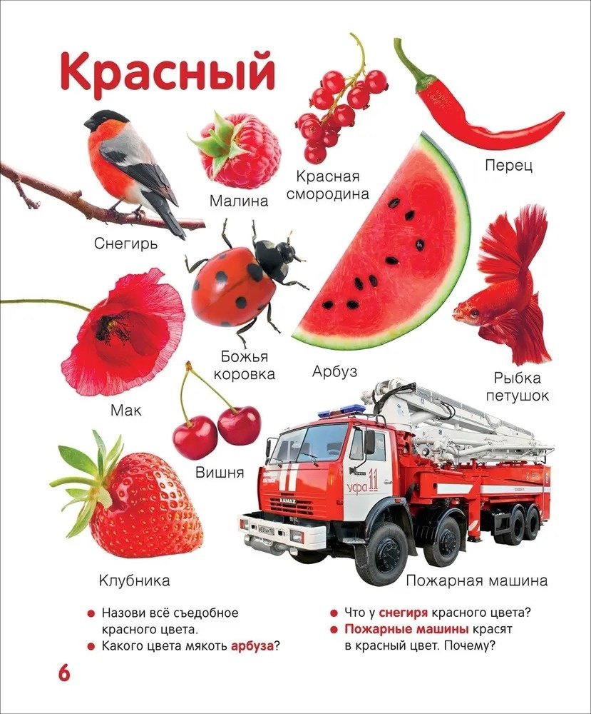 Книга Широнина Е.: Широнина Е.: Цвета и формы Твоя первая фотокнига купить,NaN