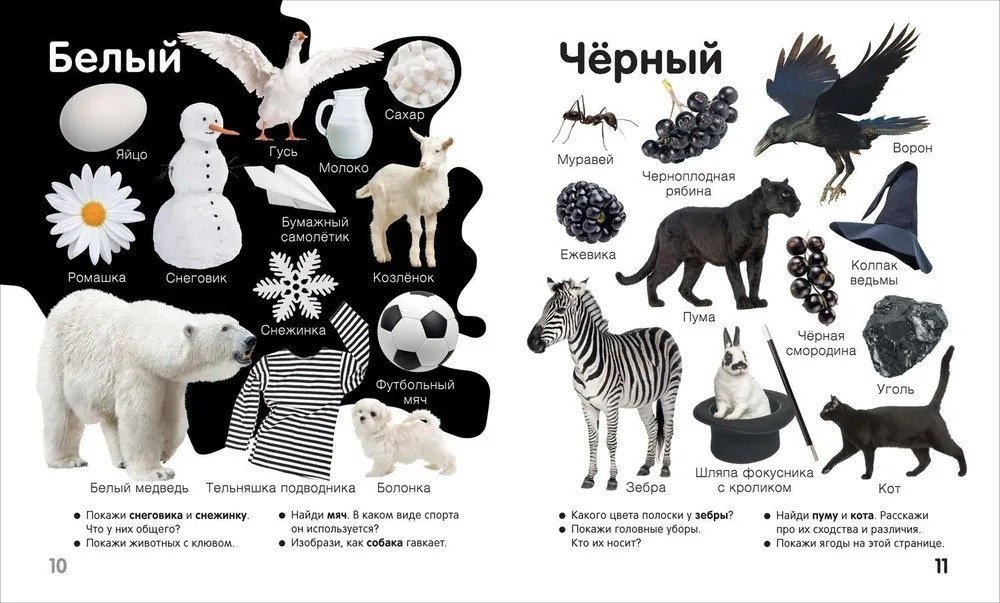 Книга Широнина Е.: Широнина Е.: Цвета и формы Твоя первая фотокнига купить,NaN