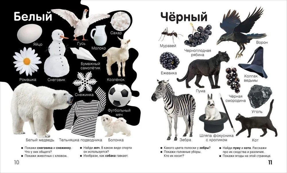 Книга Широнина Е.: Широнина Е.: Цвета и формы Твоя первая фотокнига купить,NaN
