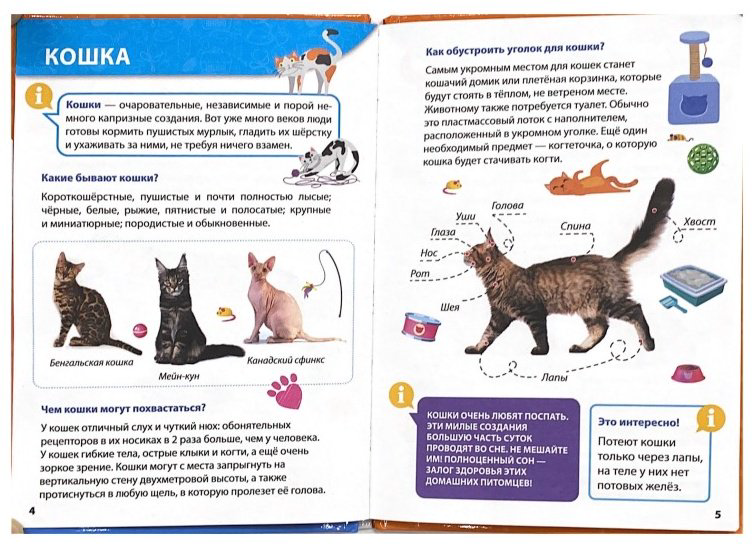 Книга Лобко Анастасия, Леонид Свеженец: Энциклопедия для маленьких почемучек. Домашние питомцы купить,NaN