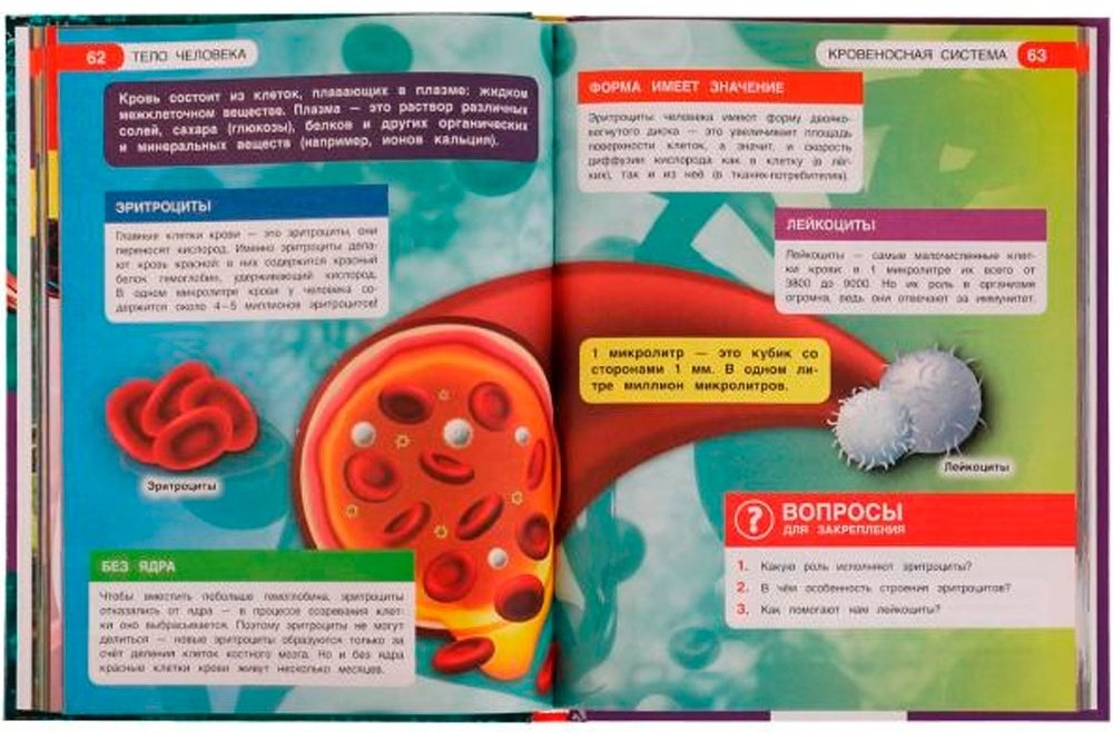 Книга -: Тело человека. Энциклопедия. Все обо всем купить,NaN