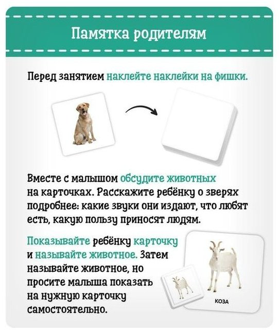 Карточки IQ-ZABIAKA домашние животные купить,NaN