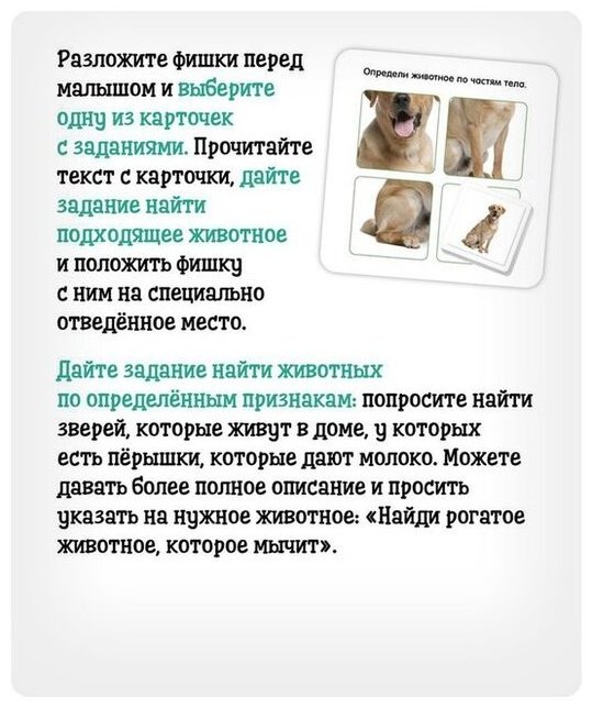 Карточки IQ-ZABIAKA домашние животные купить,NaN