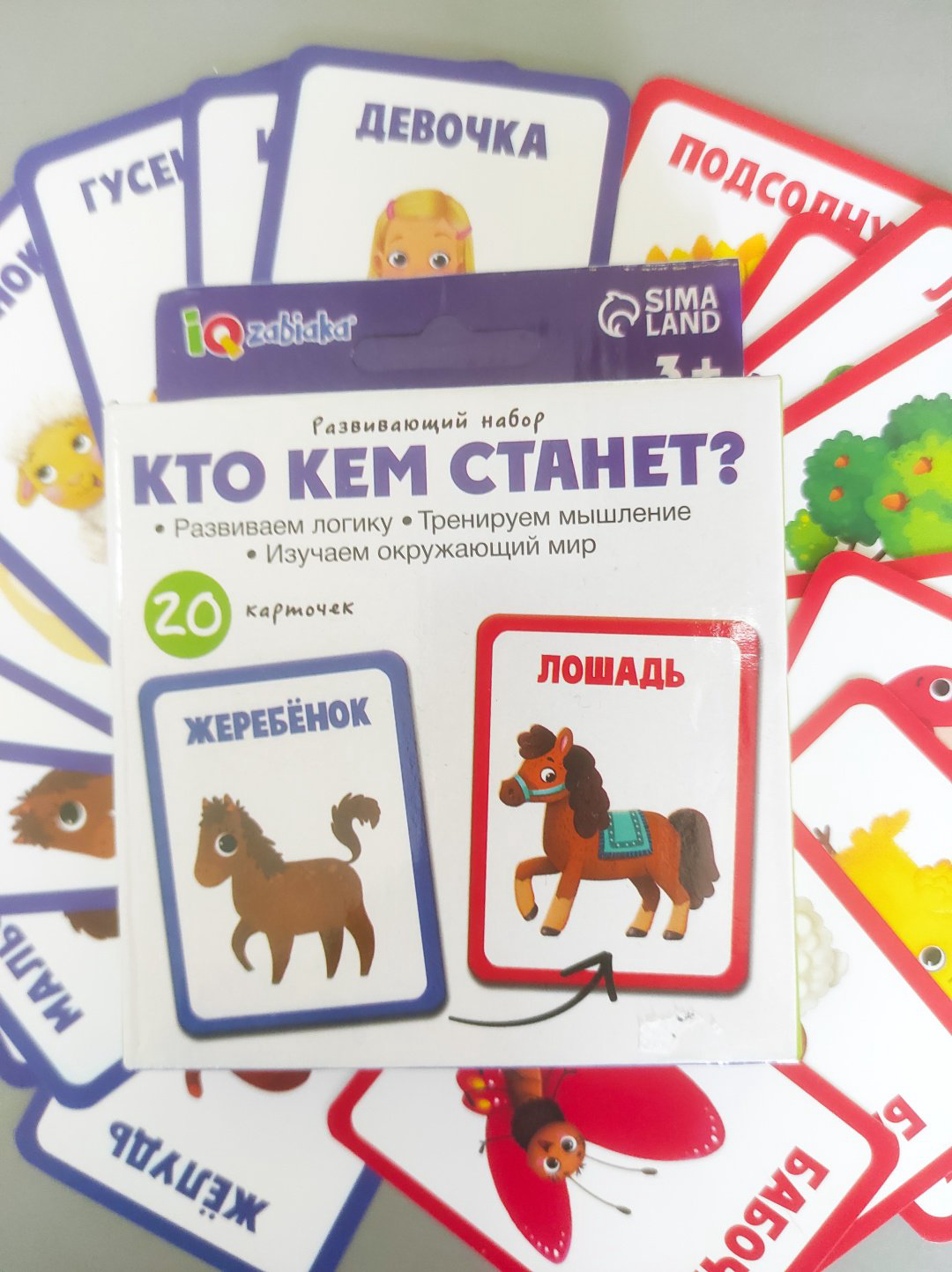 Карточки IQzabiaka Кто кем станет купить,NaN