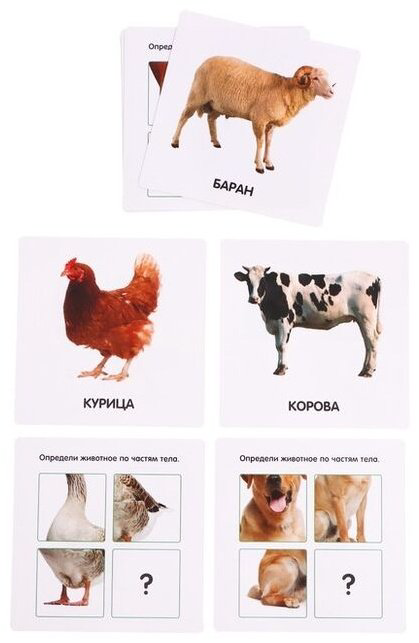 Карточки IQ-ZABIAKA домашние животные купить,NaN