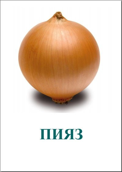 Книга Солтанкулов А.Ж.: Овощи купить,NaN