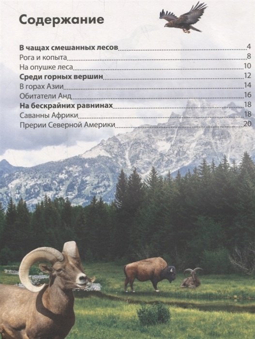 Книга Соколова Ю.: Детская энциклопедия. Животные купить,NaN