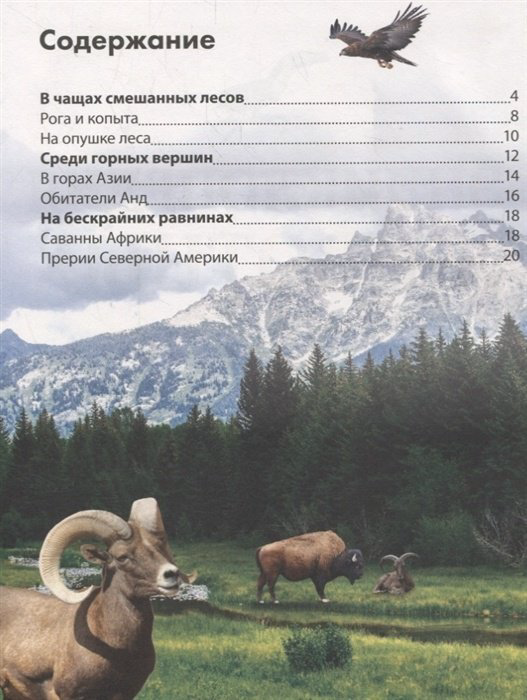Книга Соколова Ю.: Детская энциклопедия. Животные купить,NaN