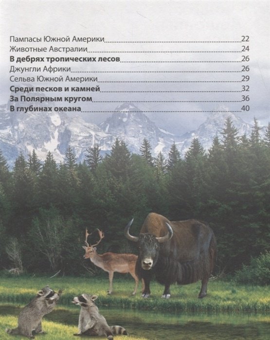 Книга Соколова Ю.: Детская энциклопедия. Животные купить,NaN
