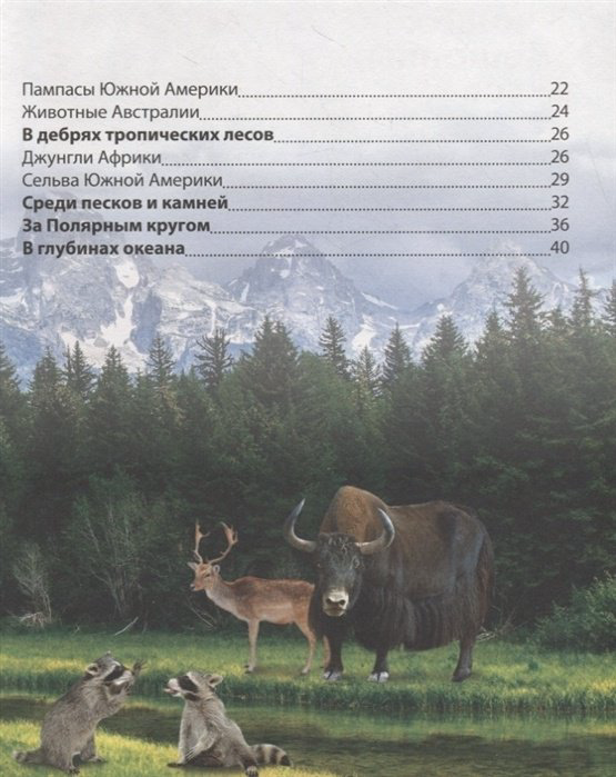 Книга Соколова Ю.: Детская энциклопедия. Животные купить,NaN