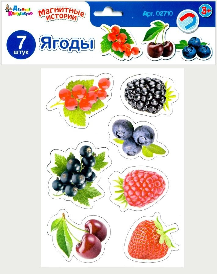Десятое Королевство Магнитные истории Ягоды 02710 купить,NaN