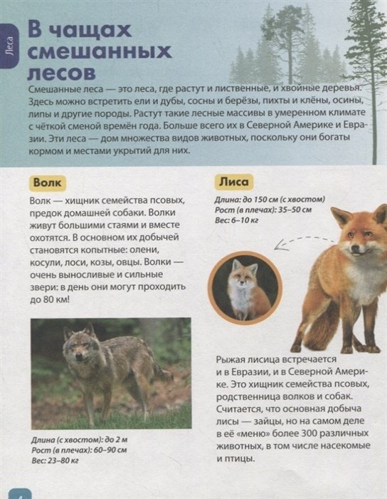Книга Соколова Ю.: Детская энциклопедия. Животные купить,NaN