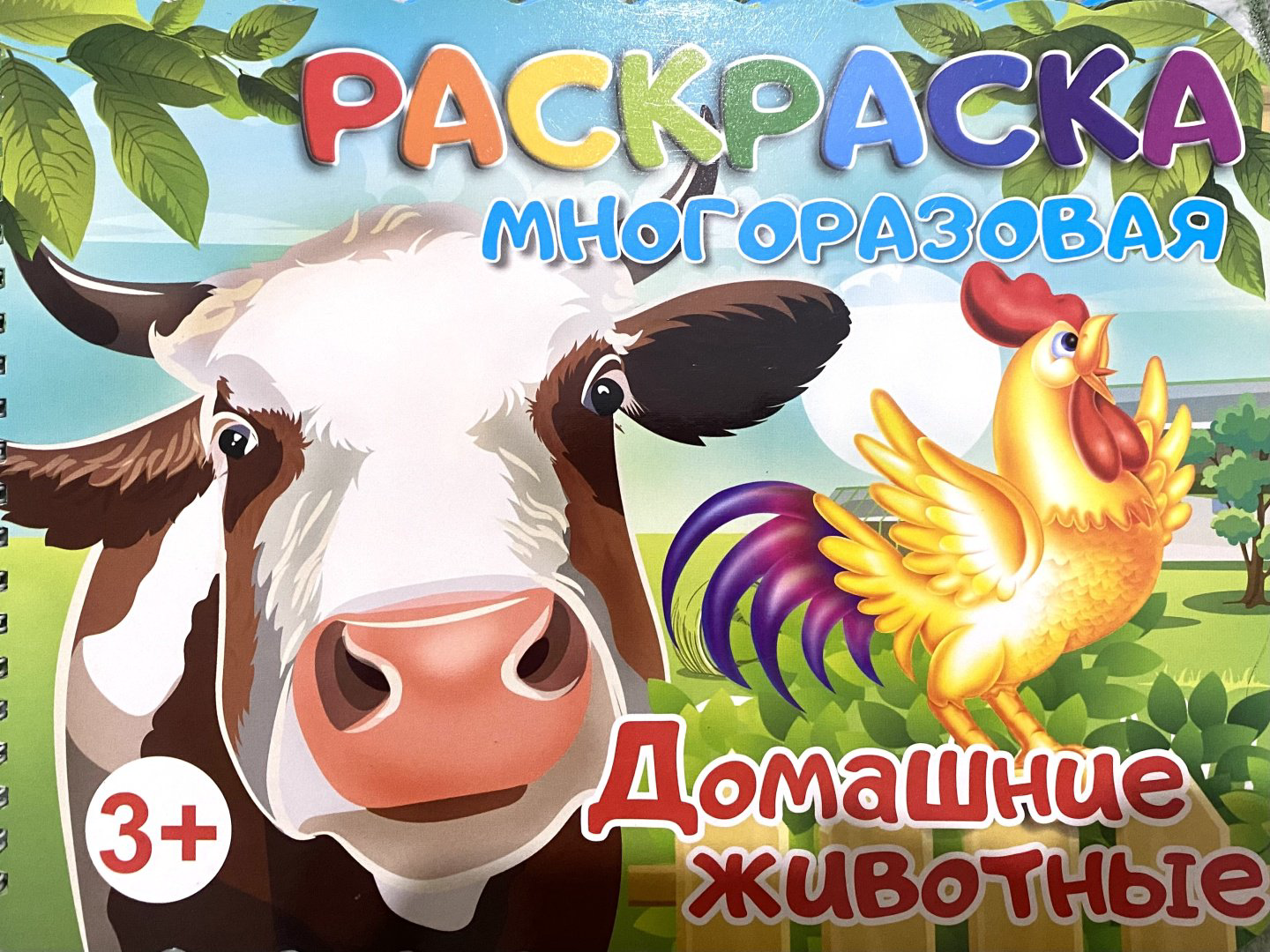 Раскраска Пиши-стирай Домашние животные купить,NaN