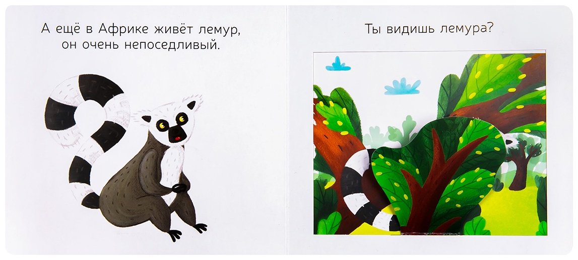 Книга Любимые животные: Африканская семейка купить,NaN