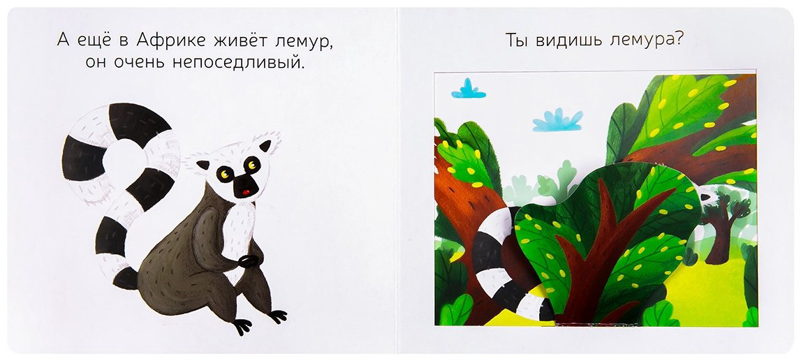 Книга Любимые животные: Африканская семейка купить,NaN