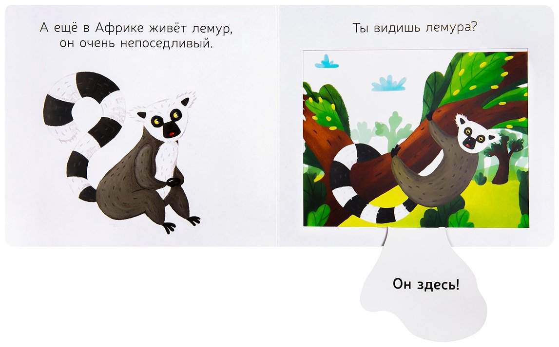 Книга Любимые животные: Африканская семейка купить,NaN