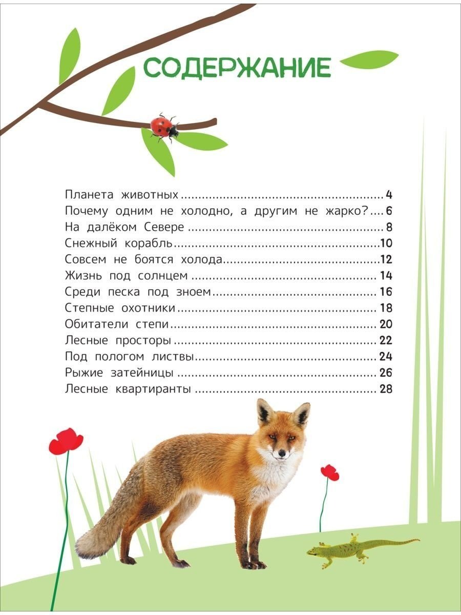 Книга Гальцева С. Н., Клюшник Л. В.: Животные. Энциклопедия для первого чтения с крупными буквами купить,NaN