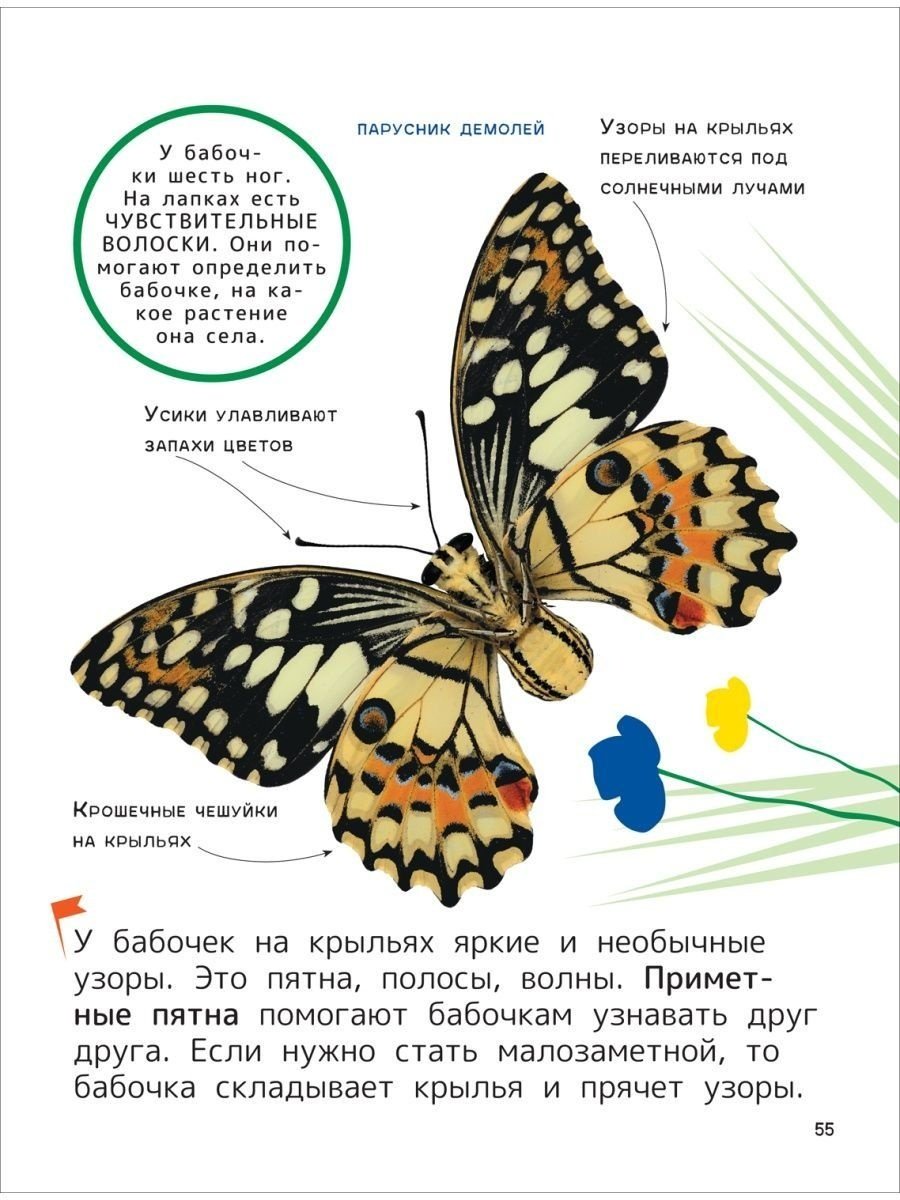 Книга Гальцева С. Н., Клюшник Л. В.: Животные. Энциклопедия для первого чтения с крупными буквами купить,NaN