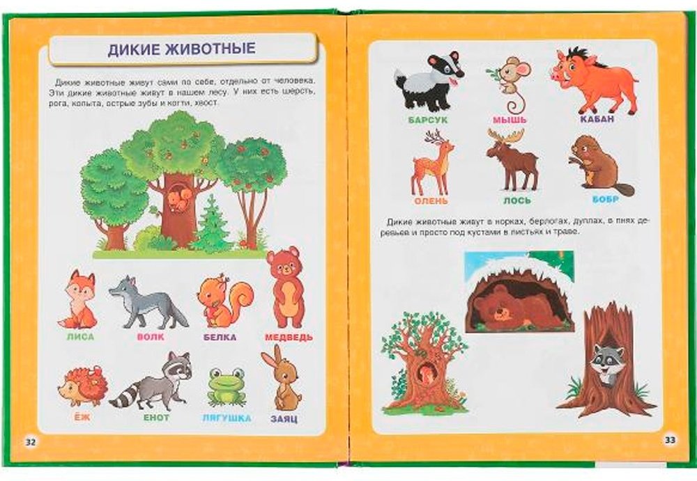 Жукова М.: Букварь. Энциклопедия раннего развития купить,NaN