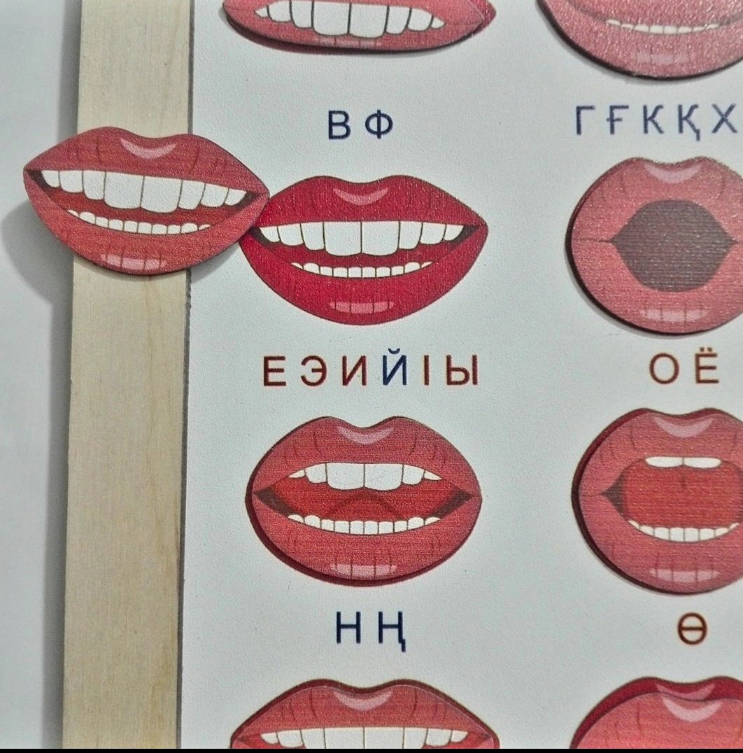 Обучающий набор Доброе дерево Артикуляция купить,NaN
